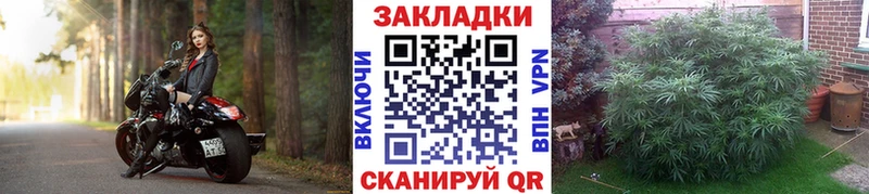 Где найти наркотики Елец МАРИХУАНА  APVP  Гашиш  АМФЕТАМИН  КОКАИН  МЕФ 