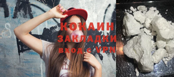 шишки Володарск
