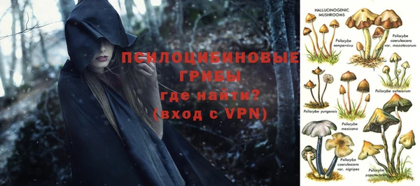 шишки Володарск