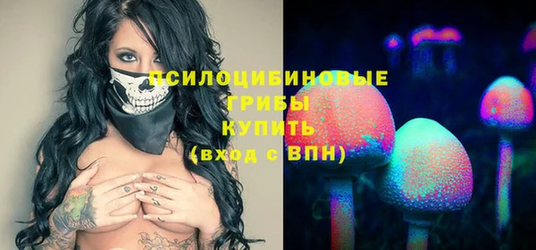 шишки Володарск