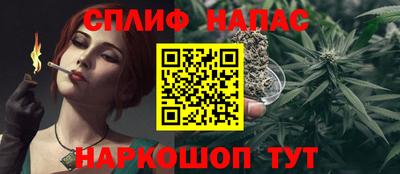 мет Дубна