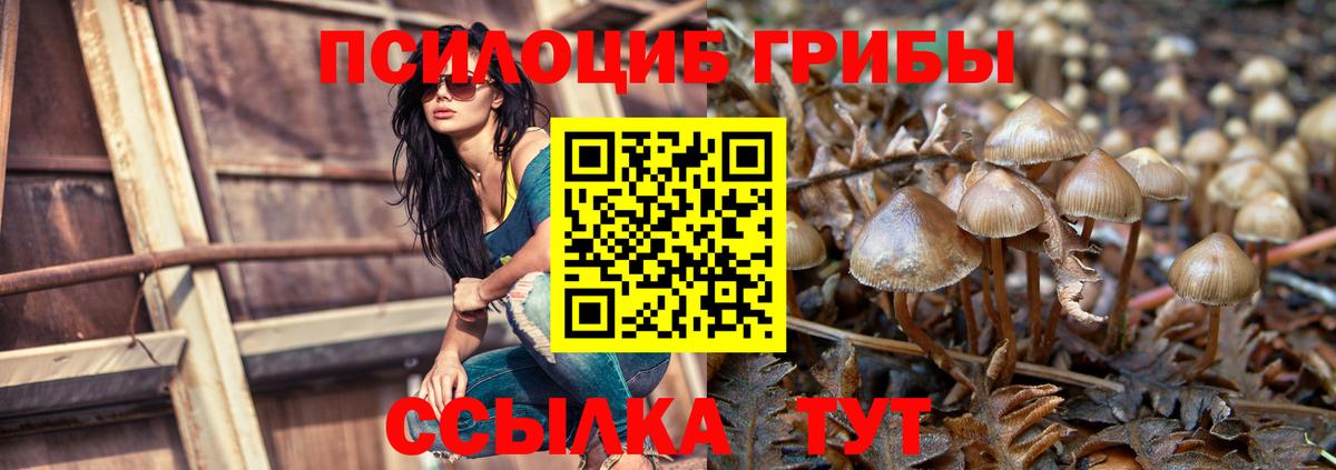Галлюциногенные грибы мицелий  Псилоцибиновые грибы GOLDEN TEACHER  Вход с VPN  Елец 