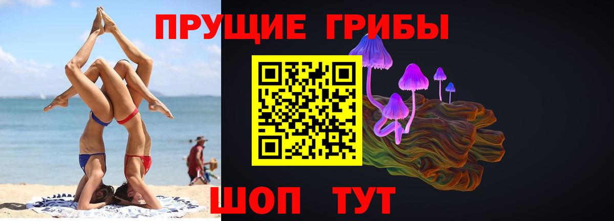 Псилоцибиновые грибы прущие грибы Елец