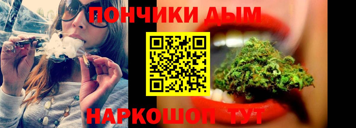 Конопля сатива Елец